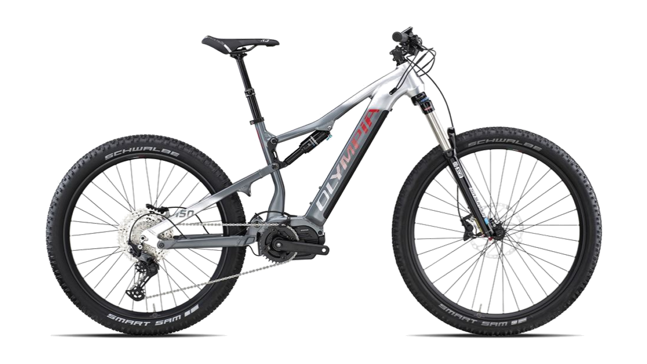 E-MTB Olympia EX-900